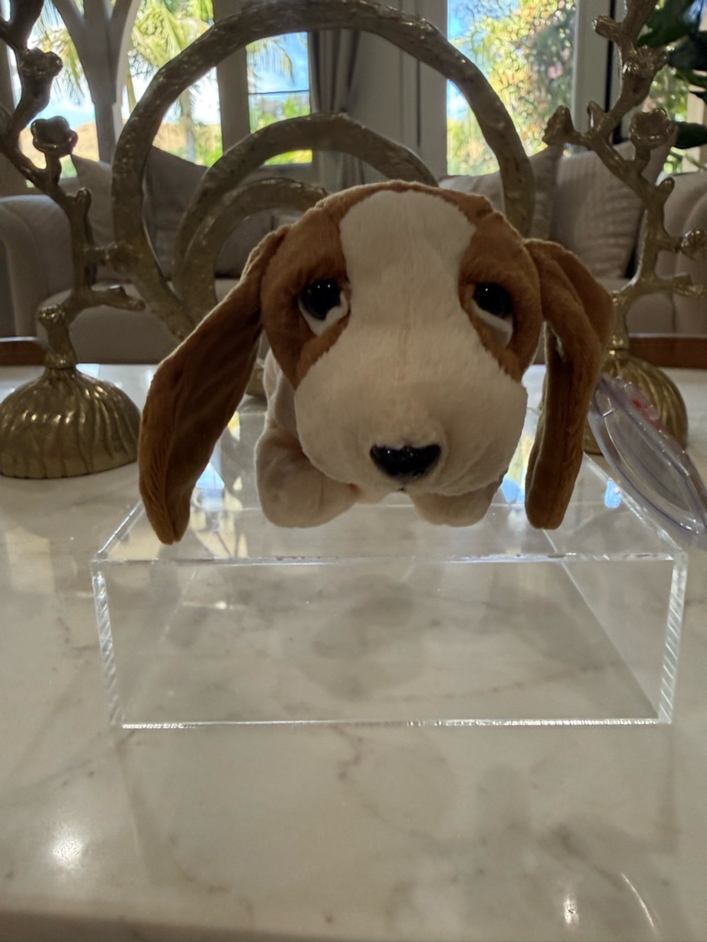Ty Brown and White Dog Beanie Boo Plush - Picture 7 of 8